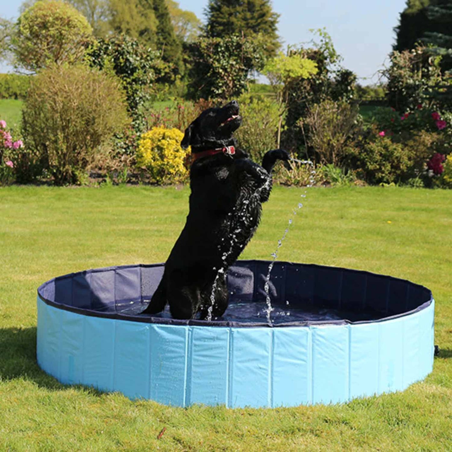 Chillax Cool Down Foldable Pool - Medium