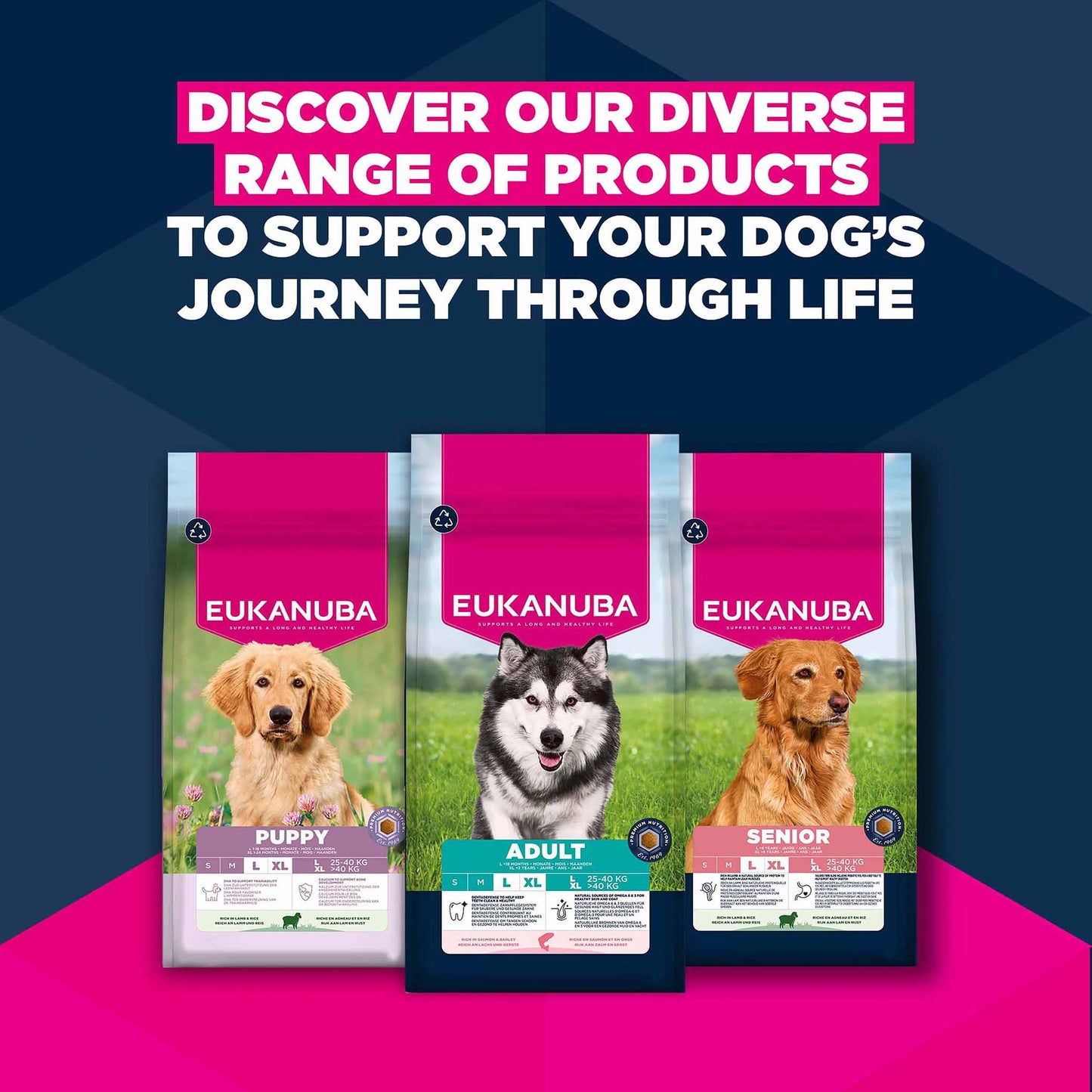 Eukanuba Large Breed Adult Dry Dog Food - Salmon & Barley