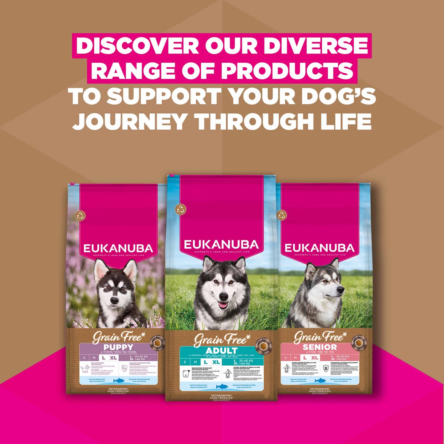 Eukanuba Grain Free Large Breed Adult Dry Dog Food - Ocean Fish
