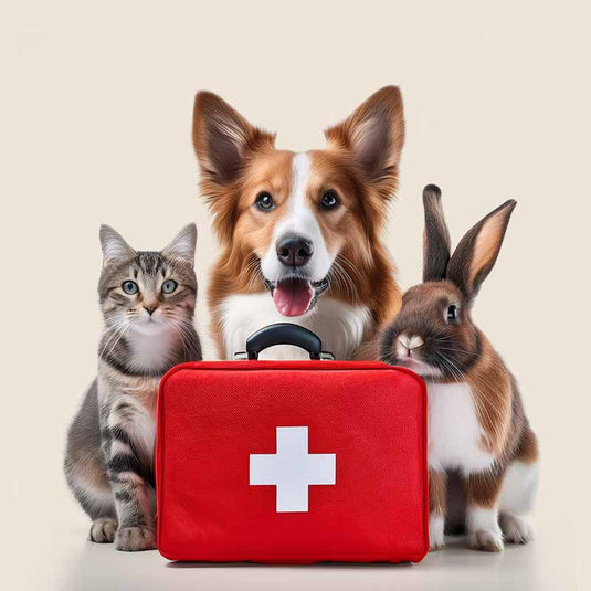 Pet Health