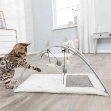 Trixie Junior Cat Activity Mat