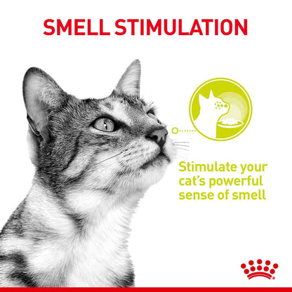 Royal Canin Feline Health Nutrition Sensory Smell in Gravy Wet Cat Food - 12x85g Pouches