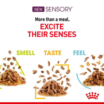 Royal Canin Feline Health Nutrition Sensory Smell in Gravy Wet Cat Food - 12x85g Pouches
