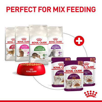 Royal Canin Feline Health Nutrition Sensory Smell in Gravy Wet Cat Food - 12x85g Pouches