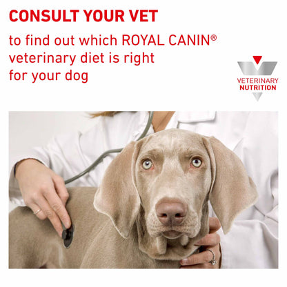 Royal Canin Veterinary Health Gastrointestinal Wet Dog Food - 12x400g Cans