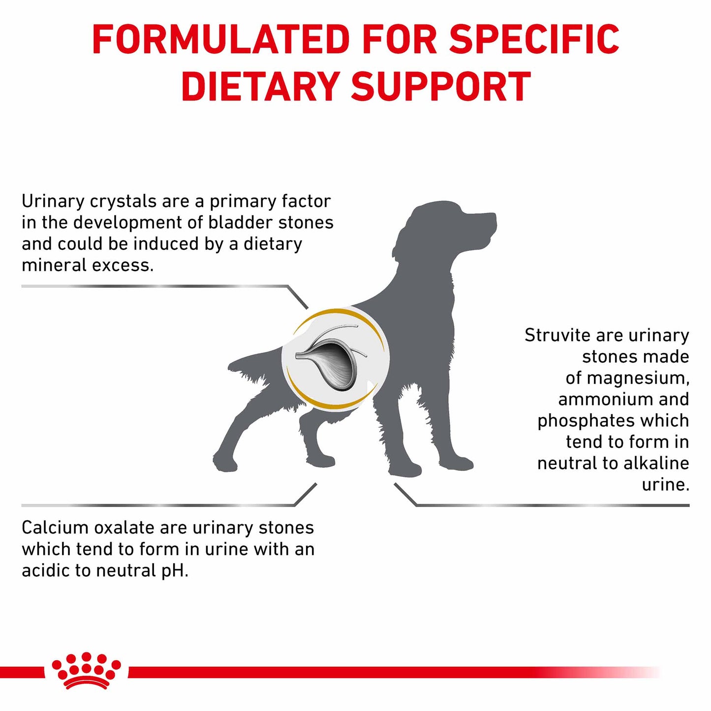 Royal Canin Veterinary Health Nutrition Urinary S/O Dry Dog Food
