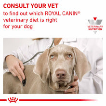 Royal Canin Veterinary Health Nutrition Urinary S/O Dry Dog Food