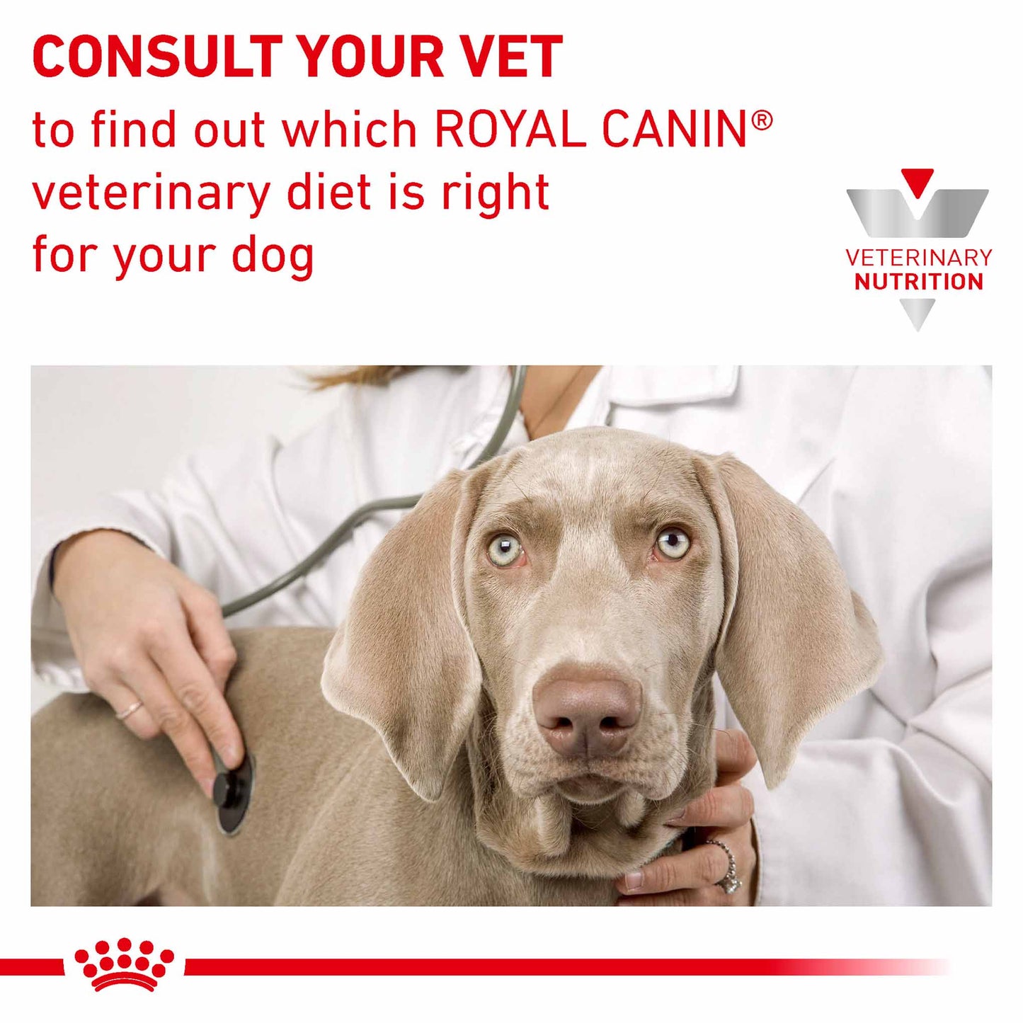 Royal Canin Veterinary Health Nutrition Anallergenic Adult Dry Dog Food