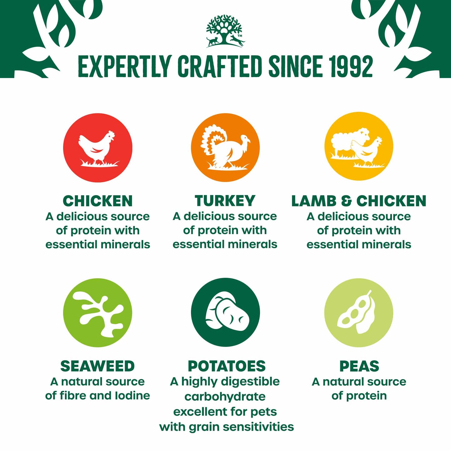 James Wellbeloved Grain Free Senior Wet Dog Food in Loaf - Turkey, Lamb and Chicken -12x400g cans