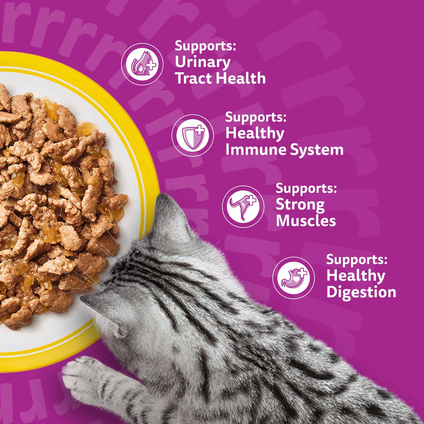 WHISKAS 7+ Senior Wet Cat Food in Jelly - Poultry Feasts - 40x85g Pouches