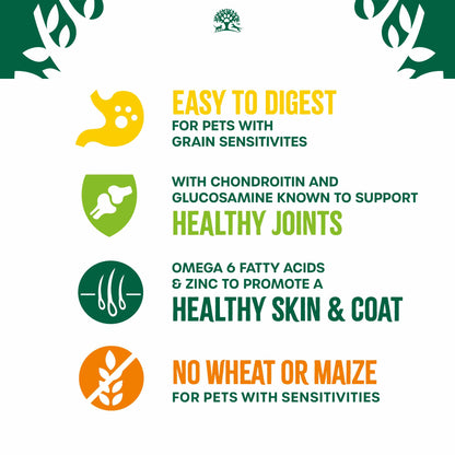 James Wellbeloved Grain Free Senior Dry Dog Food - Turkey & Veg