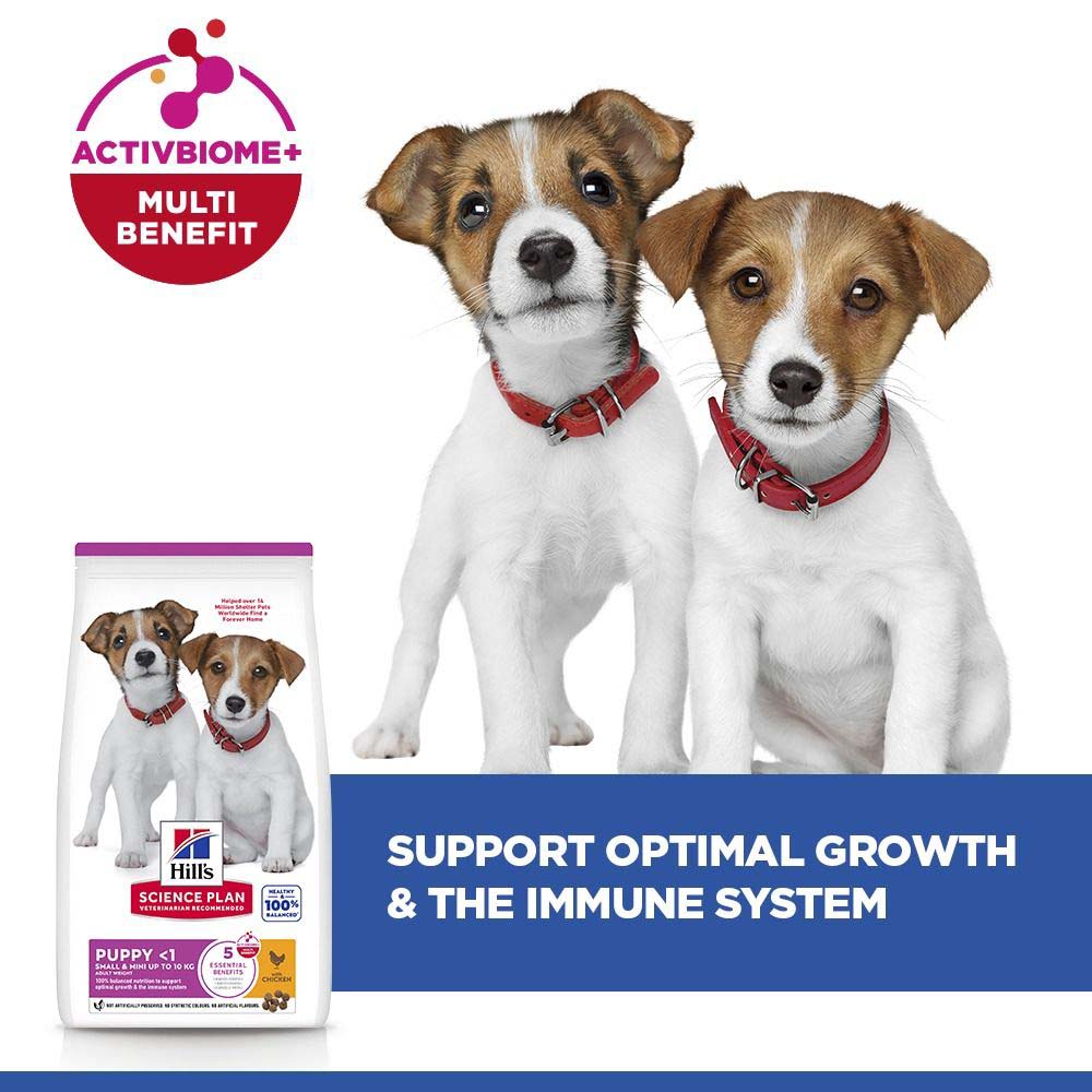 Hills Science Plan Small & Miniature Puppy Dry Dog Food