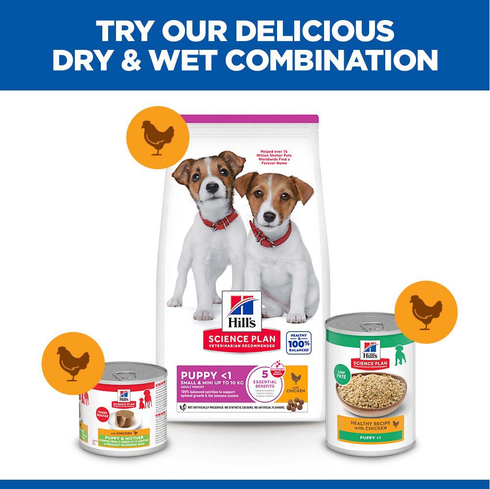 Hills Science Plan Small & Miniature Puppy Dry Dog Food