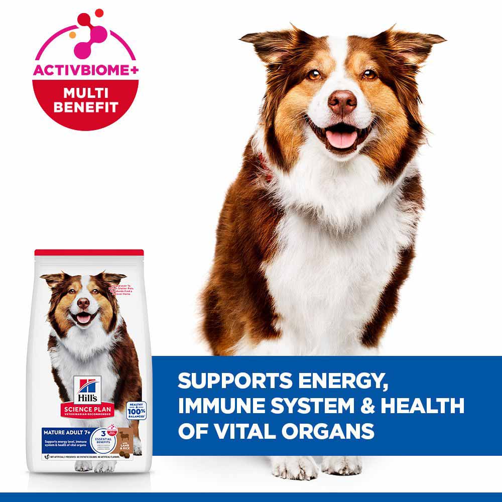 Hills Science Plan Medium Breed Mature 7 Years+ Dry Dog Food - Lamb & Rice