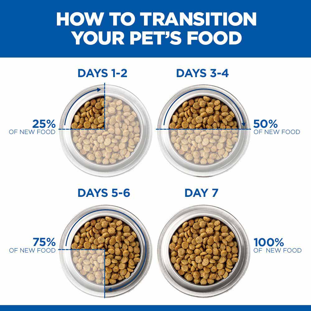Hills Science Plan Mature Wet Dog Food - Chicken - 12x370g Cans