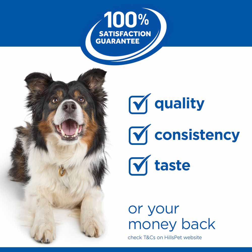 Hills Science Plan Mature Wet Dog Food - Chicken - 12x370g Cans