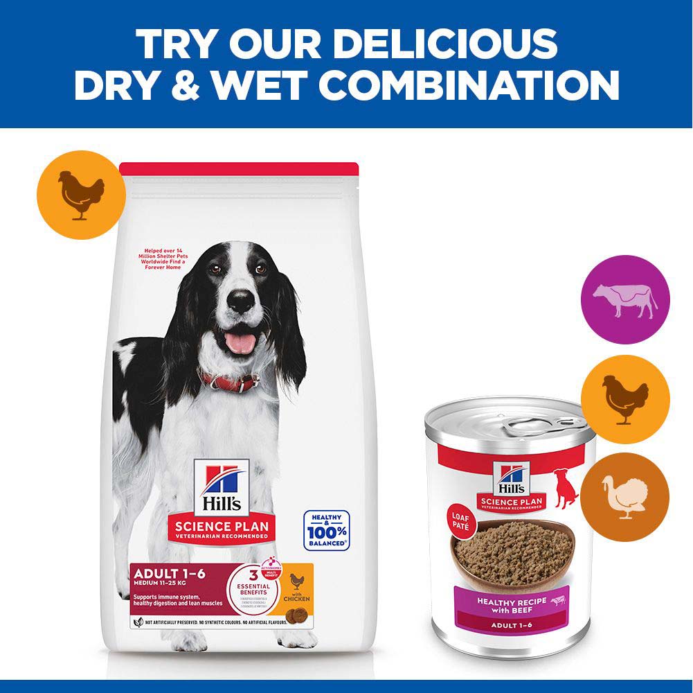 Hills Science Plan Adult Wet Dog Food - Beef - 12x370g Cans