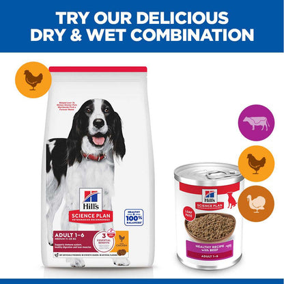 Hills Science Plan Adult Wet Dog Food - Beef - 12x370g Cans
