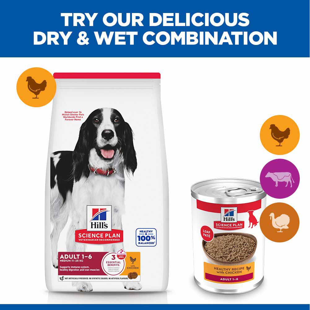 Hills Science Plan Adult Wet Dog Food - Chicken - 12x370g Cans