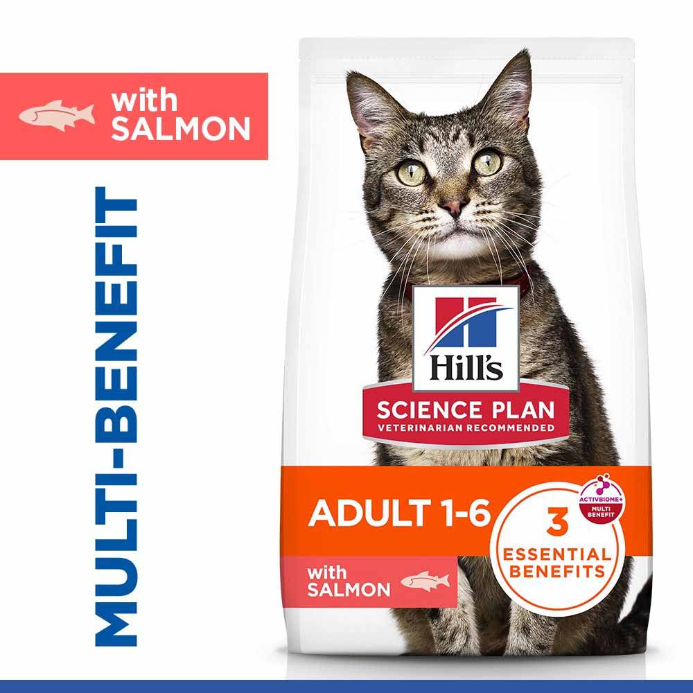 Hills Science Plan Adult Dry Cat Food - Salmon
