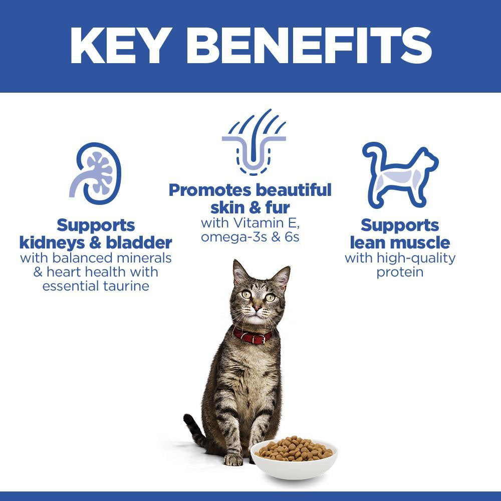 Hills Science Plan Adult Dry Cat Food - Salmon