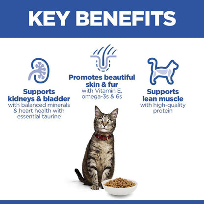 Hills Science Plan Adult Dry Cat Food - Salmon