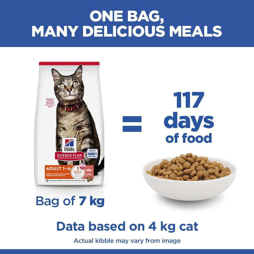 Hills Science Plan Adult Dry Cat Food - Salmon