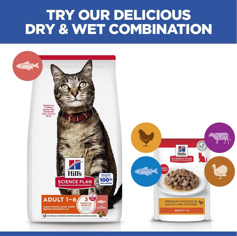 Hills Science Plan Adult Dry Cat Food - Salmon