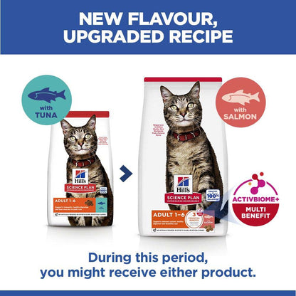 Hills Science Plan Adult Dry Cat Food - Salmon
