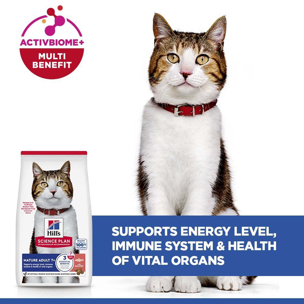 Hills Science Plan Mature Dry Cat Food - Salmon