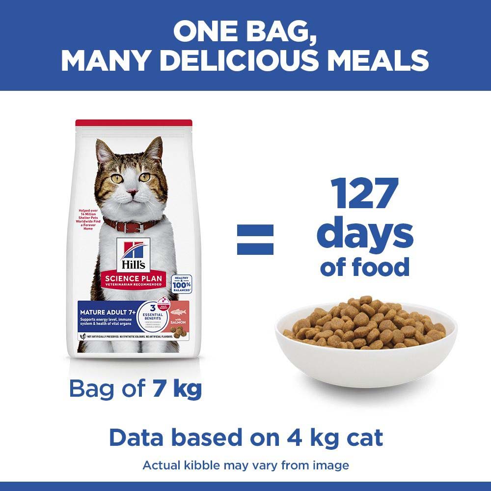 Hills Science Plan Mature Dry Cat Food - Salmon