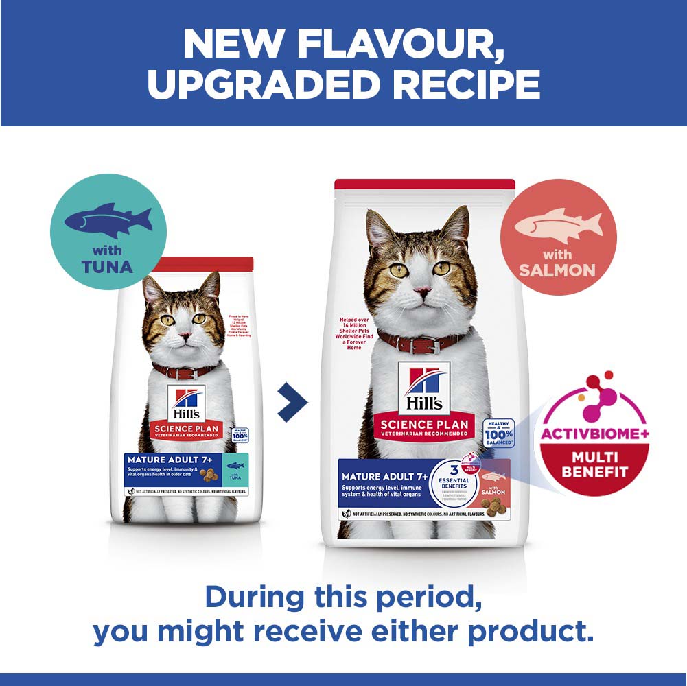 Hills Science Plan Mature Dry Cat Food - Salmon