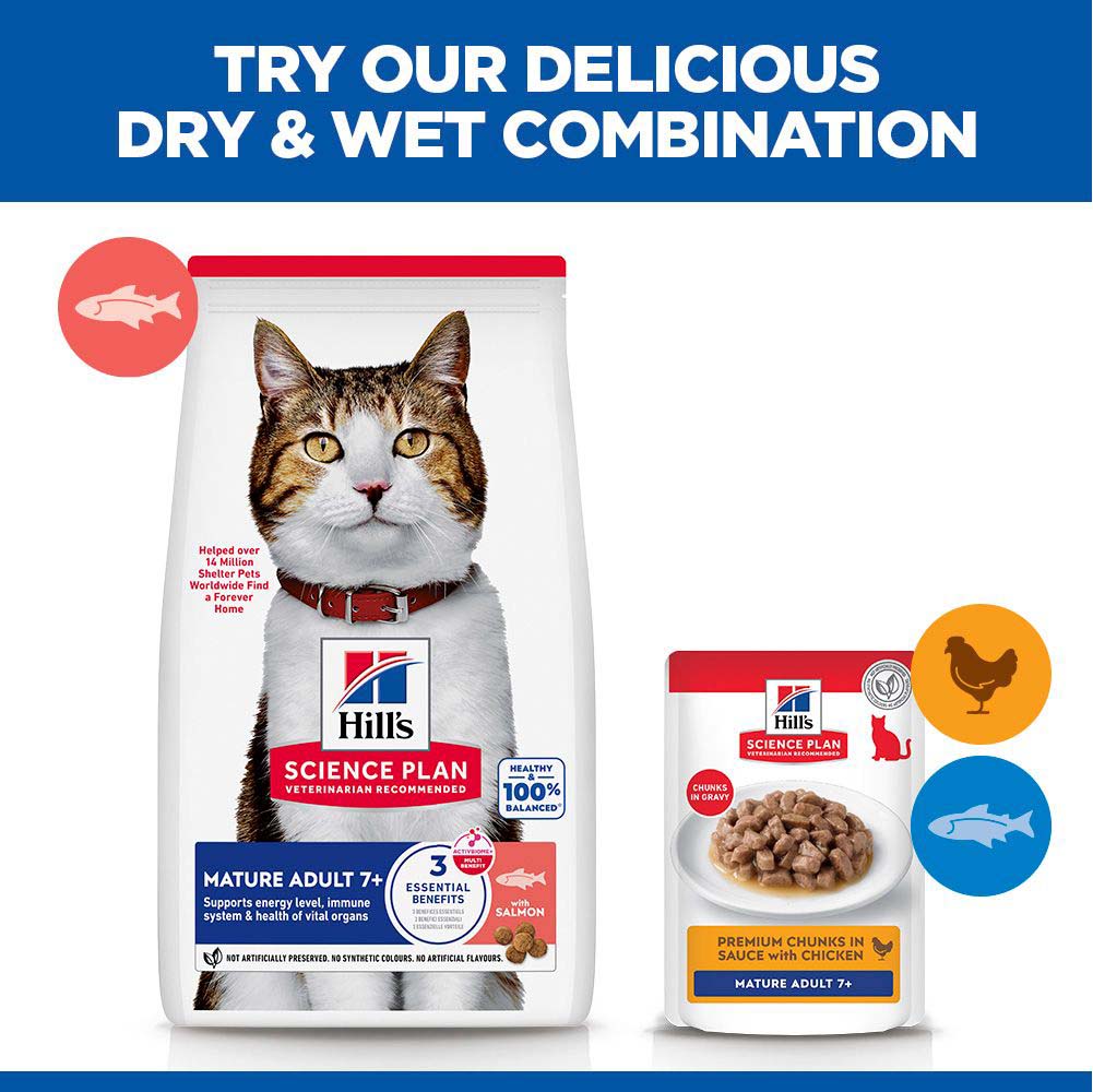 Hills Science Plan Mature Dry Cat Food - Salmon