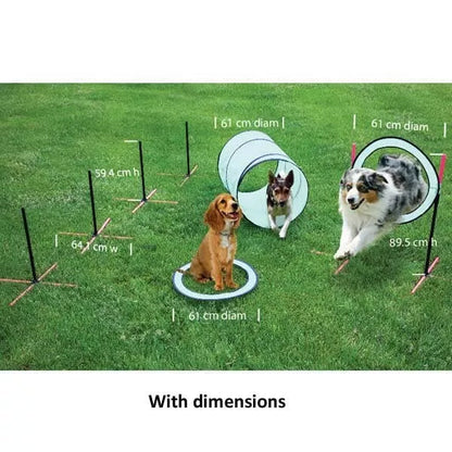 SportPet Agility Training Kit