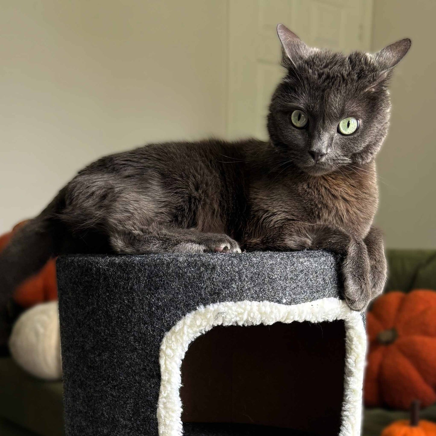 Purrshire Felt Cat Stool House - 53cm