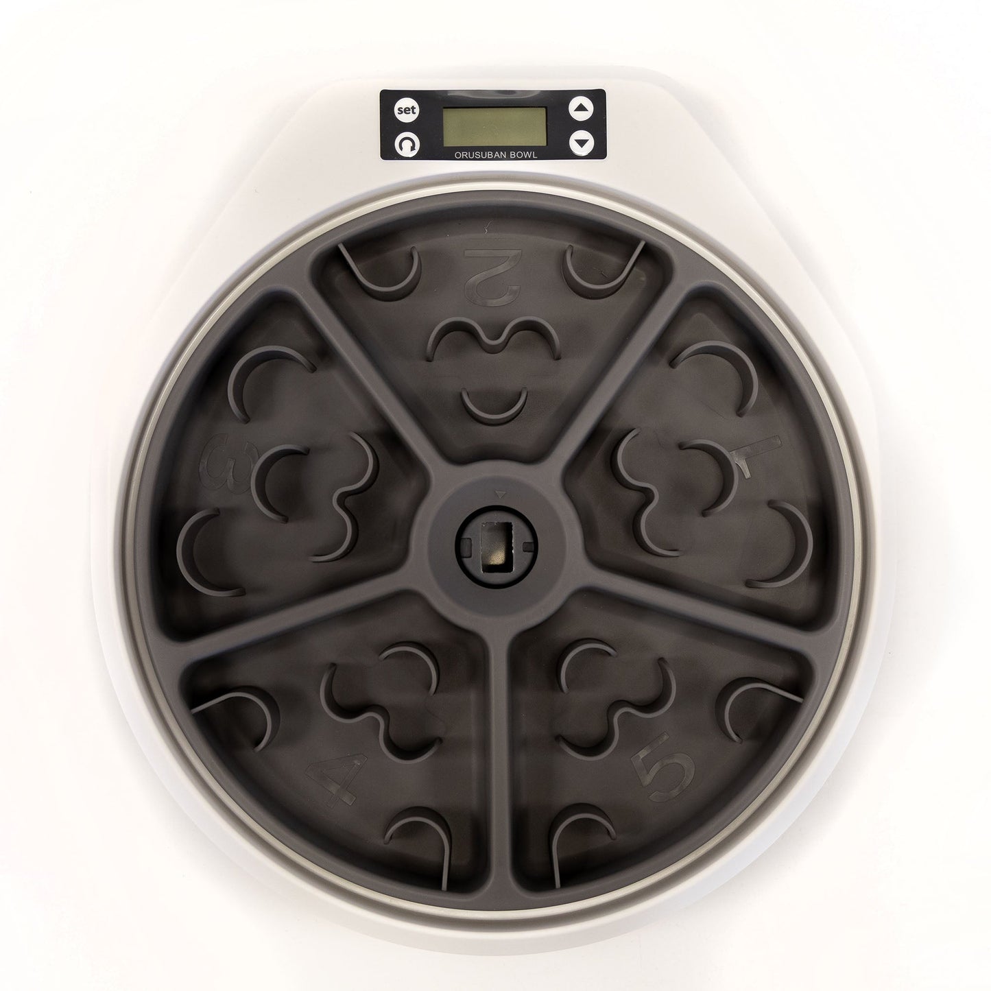 5 Meal Automatic Pet Feeder by Petplanet