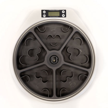 5 Meal Automatic Pet Feeder by Petplanet