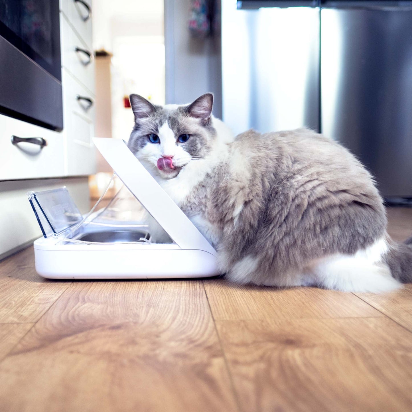 SureFeed Microchip Pet Feeder Connect
