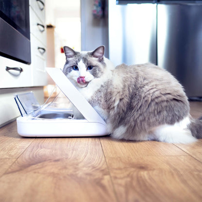 SureFeed Microchip Pet Feeder Connect