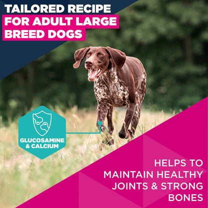 Eukanuba Large Breed Adult Dry Dog Food - Salmon & Barley
