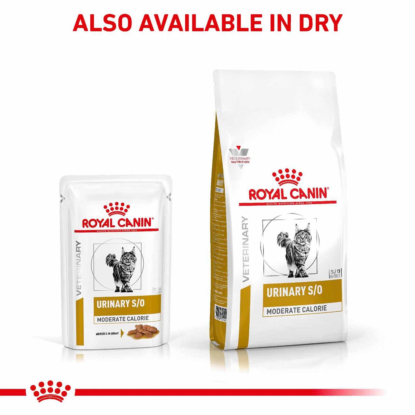 Royal Canin Veterinary Health Nutrition Urinary SO Wet Cat Food in Gravy - 48x85g Pouches