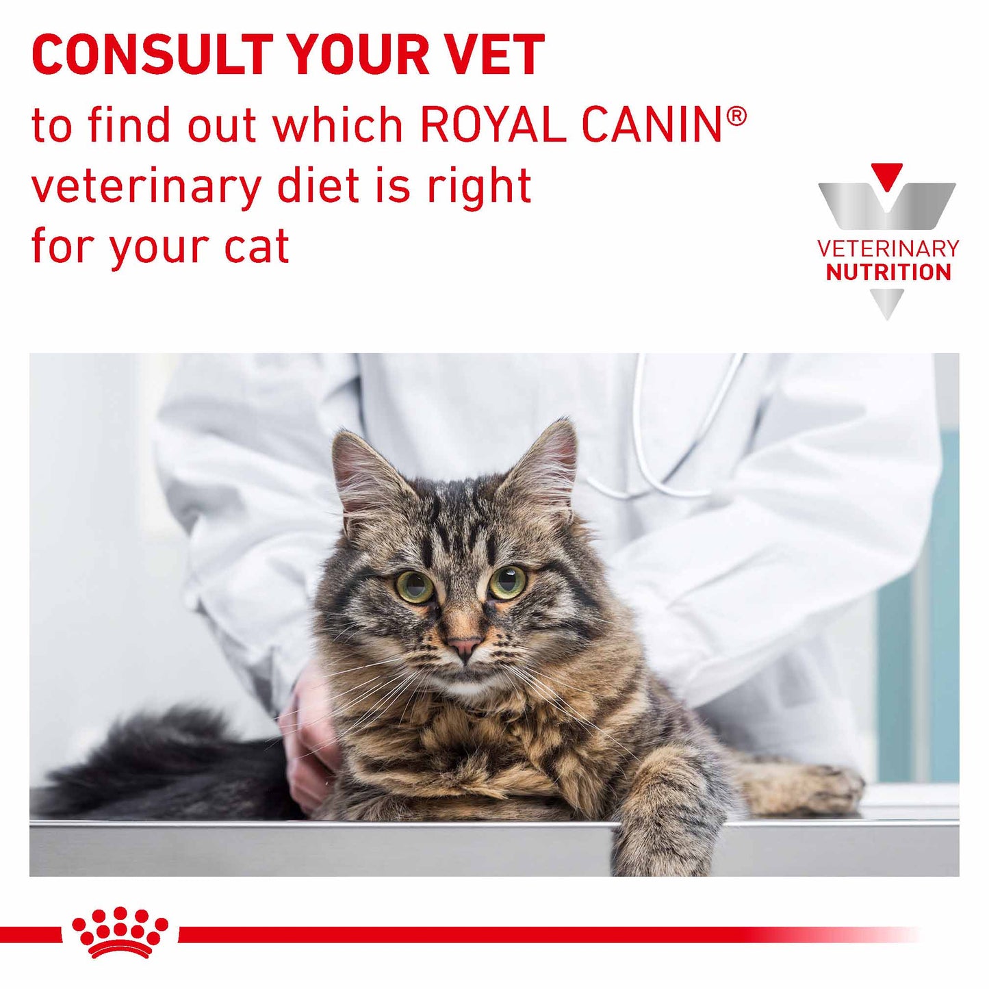 Royal Canin Veterinary Health Nutrition Urinary SO Wet Cat Food in Gravy - 48x85g Pouches