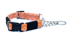 Adventure Style Mountain Flat Weave Martingale Dog Collar