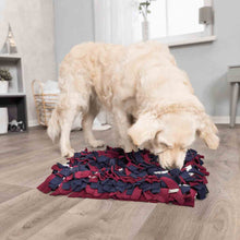 Trixie Dog Activity Sniffing Carpet Dog Toy - Medium