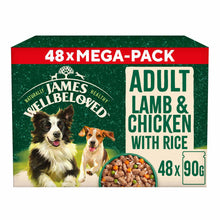 James Wellbeloved Adult Wet Dog Food in Gravy - Lamb & Chicken - 48x90g MEGA PACK