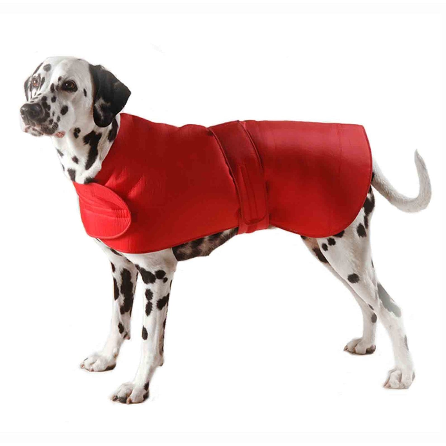 Cosipet All Weather Waterproof Coat - Red