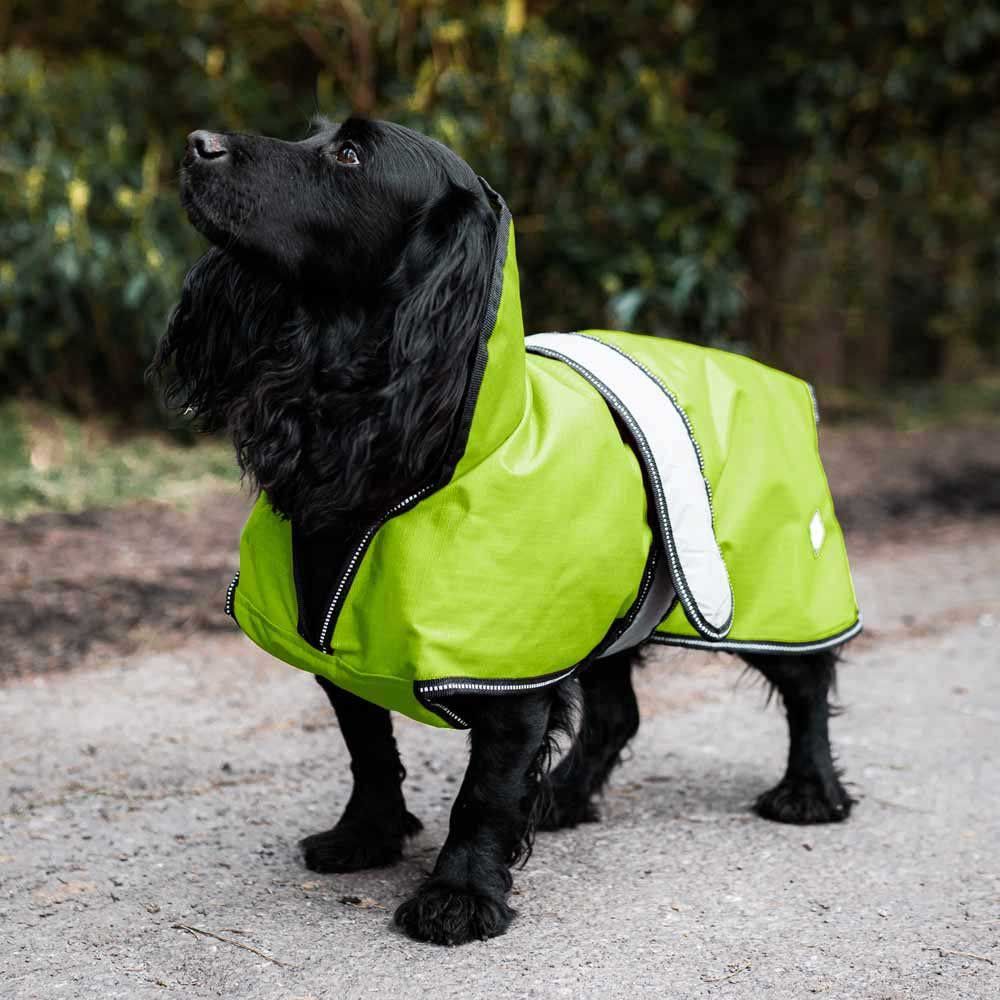 Danish Design 2-in-1 Hi Viz Dog Coat - 10in / 25cm
