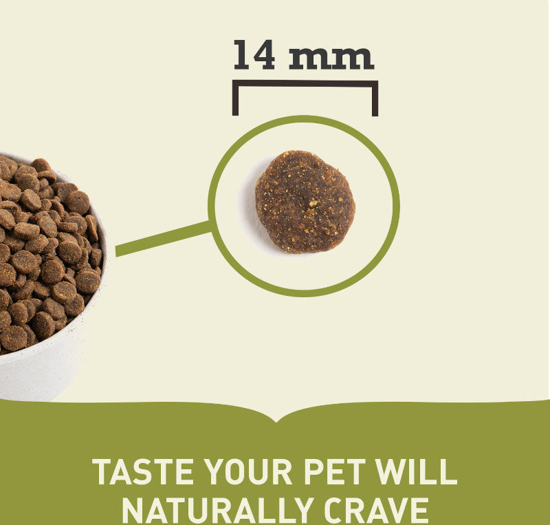 Acana Singles Free Run Duck Grain Free Adult Dry Dog Food