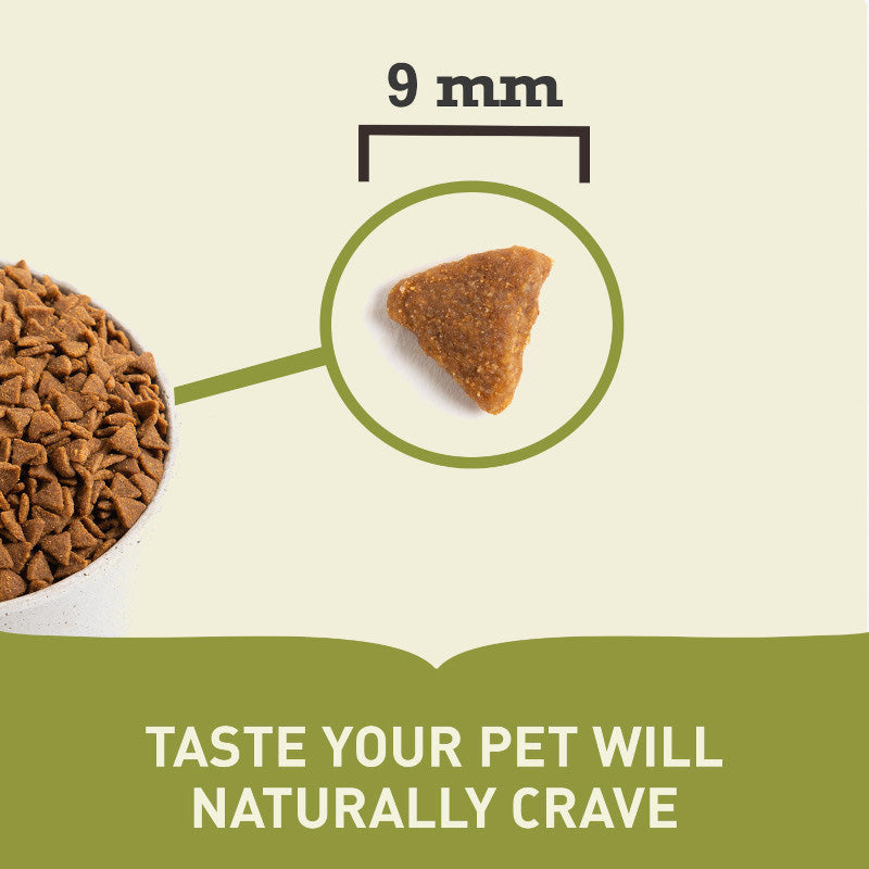 Acana Homestead Harvest Dry Cat Food