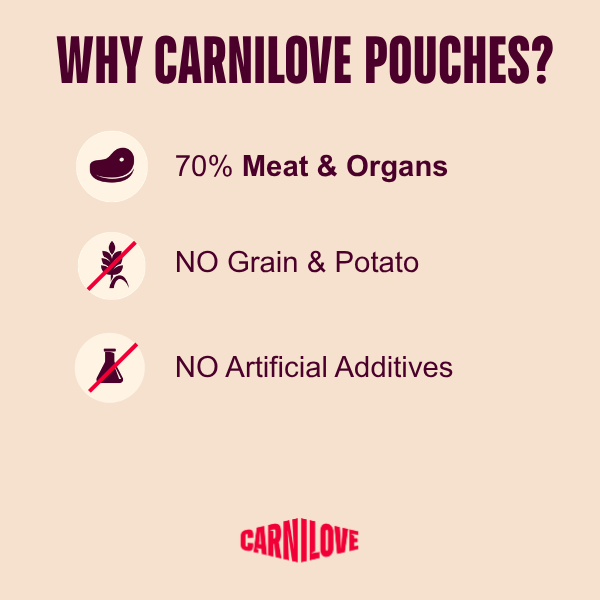 Carnilove Adult Wet Dog Food Pouches - Turkey & Pheasant with Raspberry Leaves - 12x300g Pouches